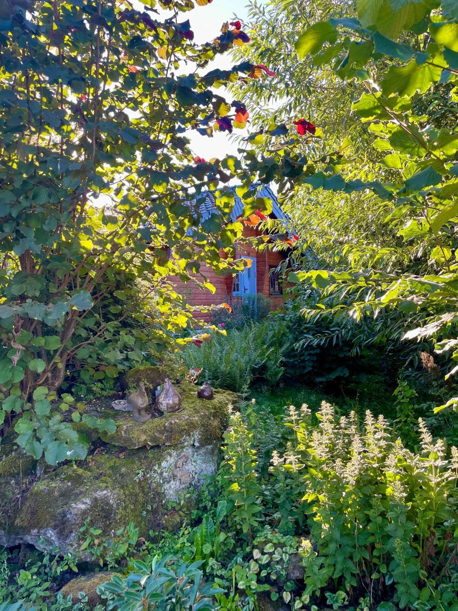 Ferienhaus Thelen Hersdorf 外观 照片